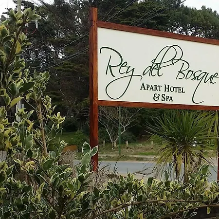 Rey del Bosque Apart - Hotel&Spa-2